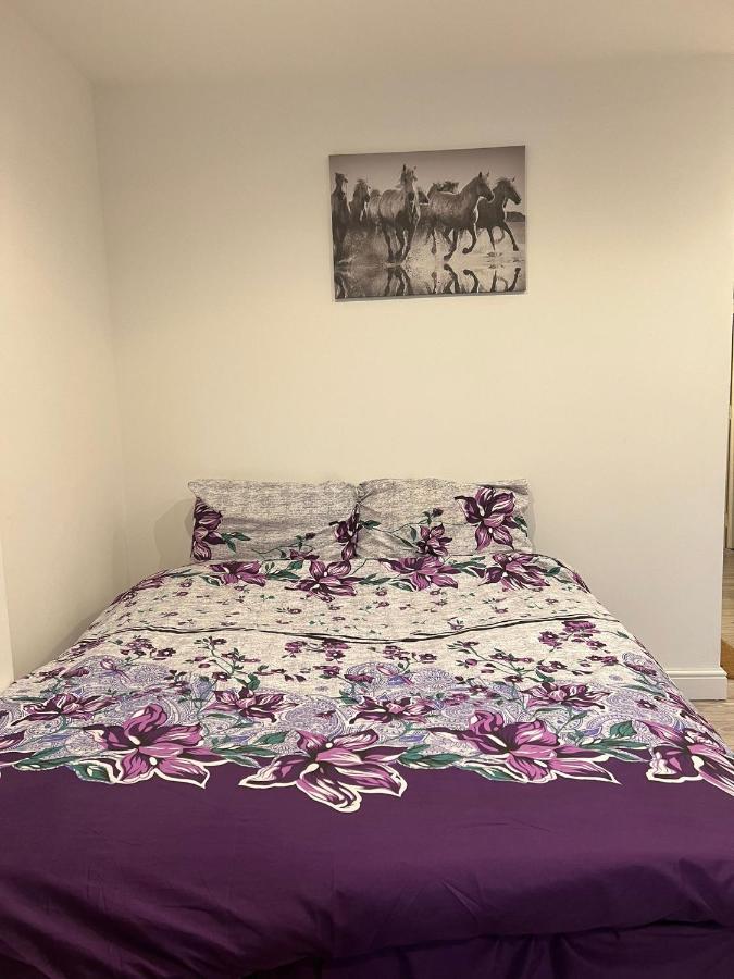 Modern Apartment In London 芬奇利 外观 照片